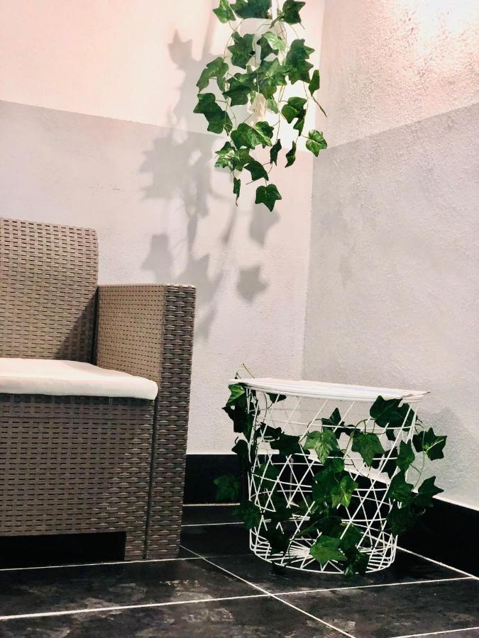 Appartamento Amonia House